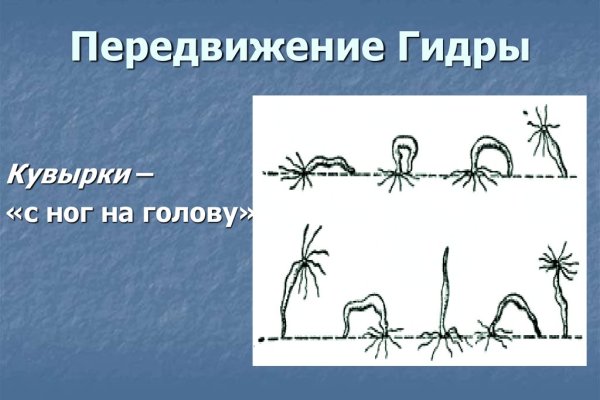 Кракен сайт store