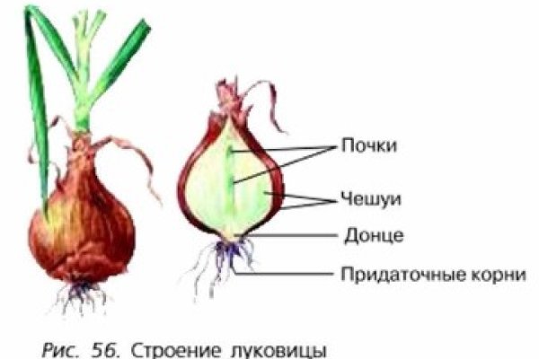 Кракен сайт 16